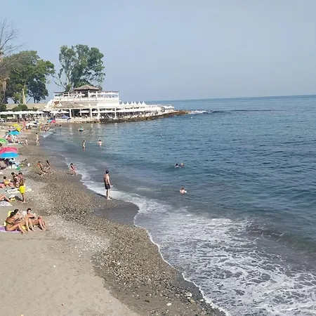 Beach&garden *